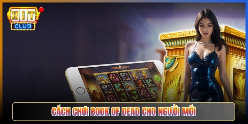 Cách Chơi Book of Dead Cho Người Mới