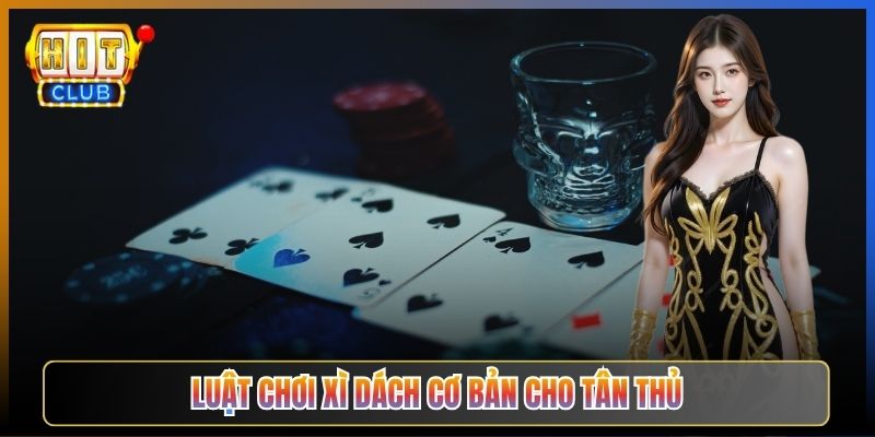 Luật Chơi Xì Dách Cơ Bản Cho Tân Thủ