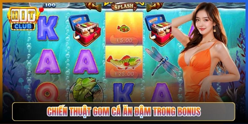 Chiến Thuật Gom Cá Ăn Đậm Trong Bonus