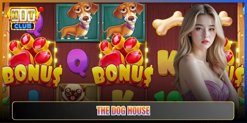 Cách Chơi The Dog House Cho Tân Thủ