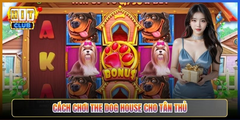 Mẹo Tận Dụng Vòng Quay Miễn Phí